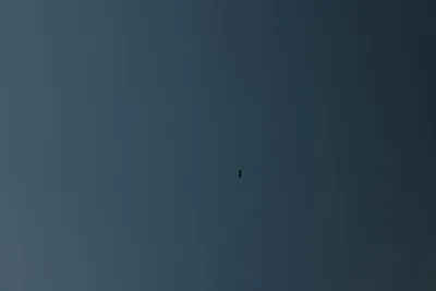 DSC_0267 (Large).JPG